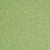 Ковролин ITC Evolve (Ивольв) 023