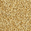 Ковролин Balsan Script (Балсан Скрипт) 380