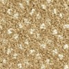 Ковролин Balsan Capitol (Балсан Кэпитол) 620