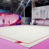 Ковер для художественной гимнастики GYMSPORT PROF PREMIUM (профессиональный) 4Х14Х0.008М