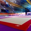 Ковер для спортивной гимнастики GYMSPORT STRONG PREMIUM 14Х14