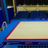 Ковер для художественной гимнастики GYMSPORT PROF PREMIUM RED (Проф Премиум) (профессиональный) 14Х14