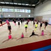 Ковер для художественной гимнастики GYMSPORT PROF PREMIUM RED (Проф Премиум) (профессиональный) 14Х14