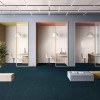 Ковролин Stone Office SDN (Стоун Офис) 070