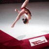 Ковер для художественной гимнастики GYMSPORT PROF PREMIUM RED (Проф Премиум) (профессиональный) 14Х14