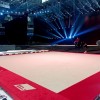 Ковер для спортивной гимнастики GYMSPORT STRONG PREMIUM 14Х14