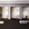 Ковролин Stone Office SDN (Стоун Офис) 043
