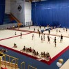 Ковер для художественной гимнастики GYMSPORT PROF PREMIUM RED (Проф Премиум) (профессиональный) 14Х14