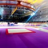 Ковер для спортивной гимнастики GYMSPORT STRONG PREMIUM 14Х14