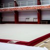 Ковер для художественной гимнастики GYMSPORT PROF PREMIUM RED (Проф Премиум) (профессиональный) 14Х14