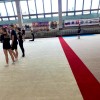Ковер для художественной гимнастики GYMSPORT PROF PREMIUM RED (Проф Премиум) (профессиональный) 14Х14