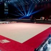 Ковер для спортивной гимнастики GYMSPORT STRONG PREMIUM 14Х14
