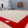 Ковер для художественной гимнастики GYMSPORT PROF PREMIUM RED (Проф Премиум) (профессиональный) 14Х14
