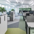 Наши работы - Офисное помещение (Фотограф Д.Кильпио «FO.Buro»)