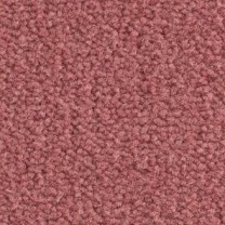 Ковролин Balsan Les Best (Лэс Бэст) 555 .