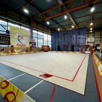 Ковер для художественной гимнастики GYMSPORT PROF PREMIUM (профессиональный) 14Х14Х0.008М .