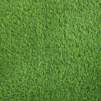 Искусственная трава Grass (Грасс) 35 .