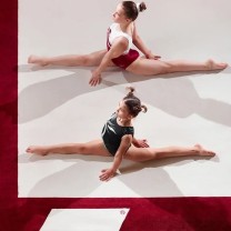 Помост для художественной гимнастики GYMSPORT RHITMIC 9х9 .