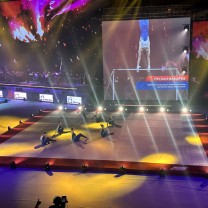 Ковер для спортивной гимнастики GYMSPORT STRONG PREMIUM 14Х14 .