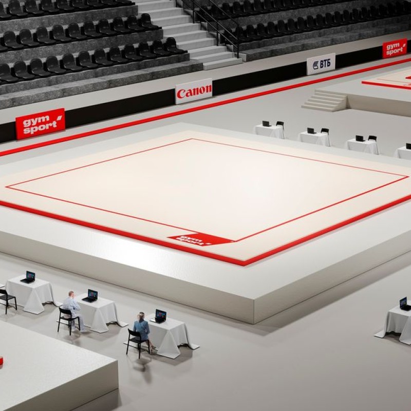 Ковер для художественной гимнастики GYMSPORT PROF PREMIUM (профессиональный) 4Х5Х0.008М Красный.